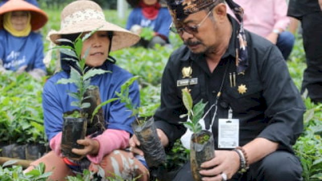 Menteri Pertanian Syahrul Yasin Limpo (Mentan SYL) meninjau nursey benih kopi di Kabupaten Garut Jawa Barat guna mendorong pengembangan kopi agar Indonesia menjadi negara nomor satu penghasil kopi dunia. (Dok Kementan) 