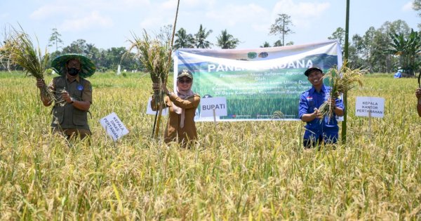 Dari Lahan Tidur, Kini Warga Desa Kariango Nikmati Panen Perdana