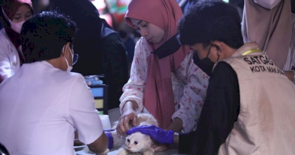 Animal Care Vaksin 160 Kucing dan Anjing di Makassar F8