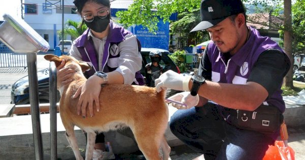 Peringati Hari Rabies Sedunia 2022, PDHI Gorontalo Gelar Vaksinasi Rabies