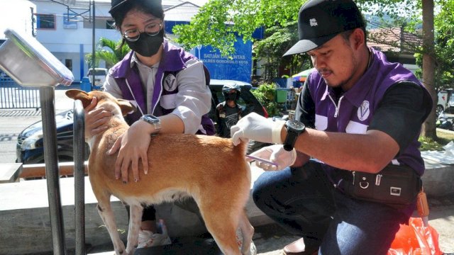 Perhimpunan Dokter Hewan Indonesia (PDHI) Cabang Gorontalo menggelar pelayanan vaksinasi rabies dan pemeriksaan kesehatan gratis bagi Hewan Penular Rabies (HPR) di Lapangan Taruna Remaja, Kota Gorontalo (2/10/2022).