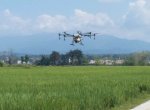 Kreativitas Tanpa Batas, PPL Luwu Utara Gunakan Drone untuk Pemupukan Padi