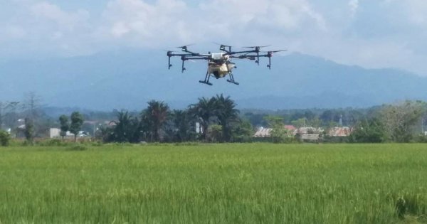 Kreativitas Tanpa Batas, PPL Luwu Utara Gunakan Drone untuk Pemupukan Padi