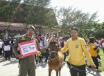 Satpol PP Mukhtar Terima Hadiah Kuda di Jalan Sehat Sulsel Anti Mager