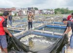 Di Hadapan Andi Sudirman, Petani Ikan di Makassar Keluhkan Harga Pakan Mahal