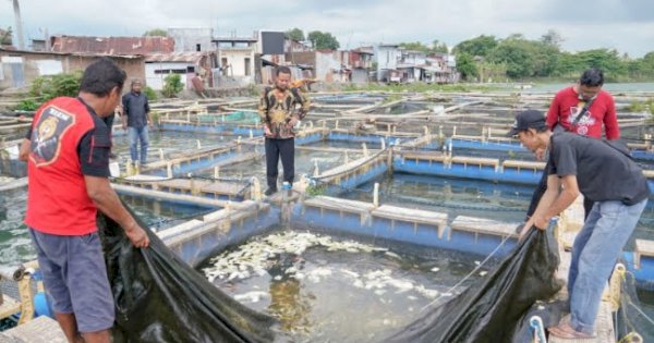 Di Hadapan Andi Sudirman, Petani Ikan di Makassar Keluhkan Harga Pakan Mahal