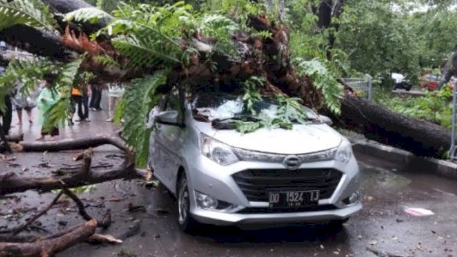 Satu unit mobil ditimpa pohon di Jl Abdullah Daeng Sirua, Kecamatan Panakkukang, Makassar imbas hujan disertai angin kencang di Makassar pada Senin sore (10/10/2022). (sumber: Lantas Info)