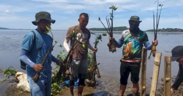 KKMD Provinsi Gorontalo Gelar Identifikasi Mangrove di Gorut