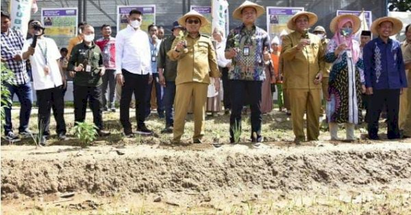 Pj Gubernur Gorontalo Gencar Gerakkan Tanam Cabe, Kali Ini di Pesantren