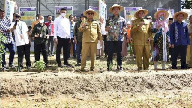 Penjagub Hamka Hendra Noer didampingi Kepala BI Gorontalo dan Kepala Dinas Pangan Provinsi Gorontalo saat melakukan gerakan penanaman cabai di pekarangan pondok pesantren Hubulo, Tapa, Selasa (8/11/2022).