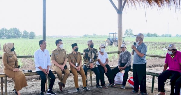 Di Kebun Tebu Mojokerto, Presiden Jokowi Dorong Kemandirian Gula Nasional