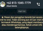 Penipu Gunakan WhatsApp Atas Bama Penjagub Hamka, Masyarakat Diminta Waspada