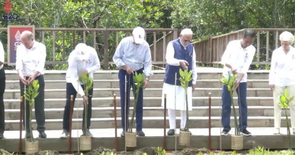 Xi Jinping dan Erdogan Tak Ikut Tanam Mangrove di Tahura Bali