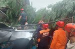 Pohon Tumbang Timpa Warung Bakso, 5 Orang Jadi Korban 