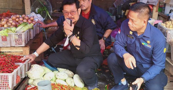 Jelang Nataru, Mentan SYL Sidak di Pasar Terong Makassar