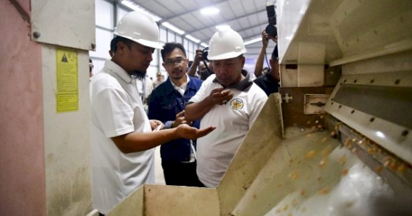 Andi Sudirman Harap Tercipta Mandiri Benih Jagung di Sulsel