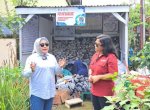 DLH Makassar Aktif Kembangkan Bank Sampah yang Ada di Lorong Wisata
