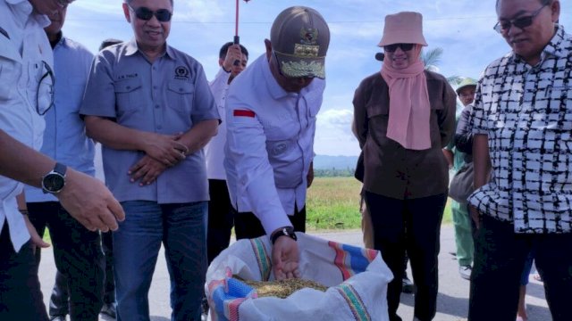 Penjagub Hamka didampingi Kadis Pertanian dan Ketua serta anggota Komisi I DPRD provinsi Gorontalo saat melihat langsung hasil panen yang menggunakan alat combine harvester besar, milik Pemprov Gorontalo, di Kecamatan Tibawa, Kabupaten Gorontalo, Rabu (4/3/2022).