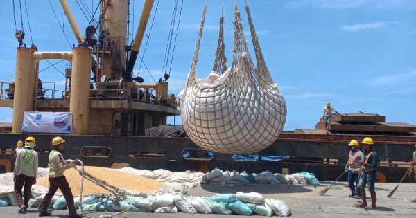 6150 Ton Jagung asal Sulsel Diekspor ke Filipina, Nilainya Rp 30,43 M