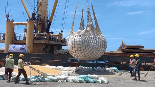 Proses pengangkutan jagung asal Sulsel yang akan diekspor ke Filipina melalui Pelabuhan Laut Soekarno Hatta Makassar, (11/1/2023).