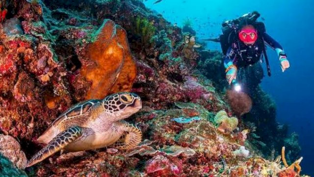 Kisah Turis Finlandia Doyan dan Terpesona dengan Keindahan Bunaken Manado