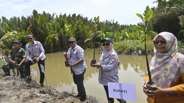 Bupati Luwu Utara, Indah Putri Indriani melakukan penanaman mangrove di Desa Pattimang Kecamatan Malangke Kabupaten Luwu Utara Sabtu (4/02/2023).