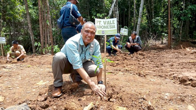 Bupati Luwu Timur (Lutim) Budiman mengapresiasi komitmen PT Vale Indonesia Tbk ( PT Vale) senantiasa andil dalam mendorong hadirnya fasilitas publik yang sangat memperhatikan lingkungan.