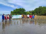 Pemprov Sulsel Tanam Mangrove di Pesisir Bulukumba dan Jeneponto, Jaga Ekosistem Laut