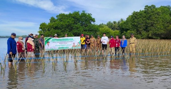 Pemprov Sulsel Tanam Mangrove di Pesisir Bulukumba dan Jeneponto, Jaga Ekosistem Laut