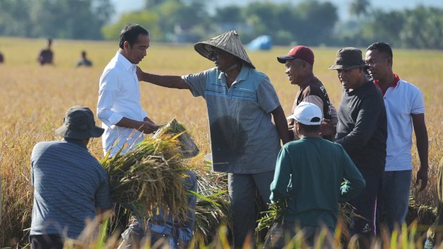 Presiden RI Joko Widodo (Jokowi) meninjau Panen Raya di Desa Baji Pamai, Kecamatan Maros Baru, Kabupaten Maros, Sulawesi Selatan, Kamis (30/03/2023) pagi.