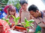 Tim SCE Sebut Lorong Wisata Sejalan dengan Urban Farming Singapura