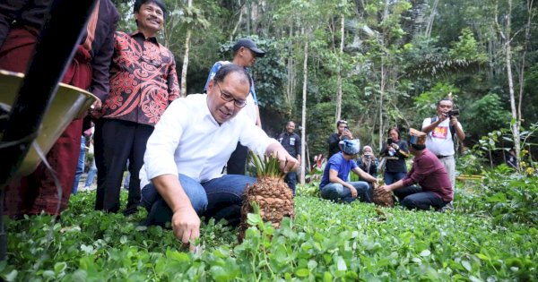 Danny dan Tokoh Masyarakat Toraja Tanam Pohon di Wisata Sa&#8217;pak Bayo-bayo Sangalla