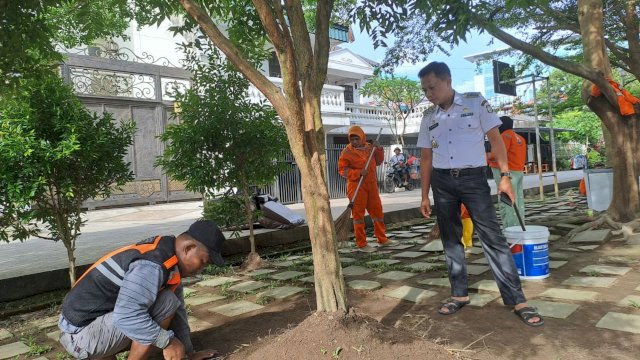 Camat Tallo, Alamsyah Sahabuddin melakukan pemantauan pembenahan taman kota di Jalan Ade Irma Nasution, Kelurahan Ujung Pandang Baru Kota Makassar, Rabu (8/3/2023).