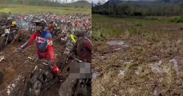 Viral Peserta Motor Trail Merusak Bunga Edelweis Rawa, Bikin Netizen Emosi