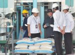 Target 2,4 Juta Ton, Jokowi Minta Bulog Serap Gabah Petani Sebanyaknya
