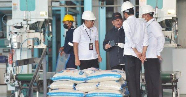 Target 2,4 Juta Ton, Jokowi Minta Bulog Serap Gabah Petani Sebanyaknya