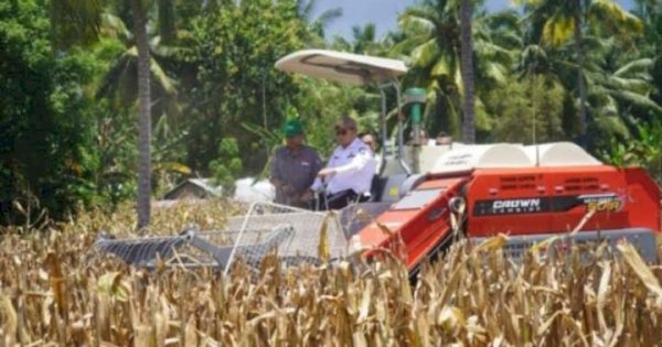 Sebelum Diekspor, Pemprov Gorontalo Ajak Perwakilan Malaysia Ikut Panen Jagung 