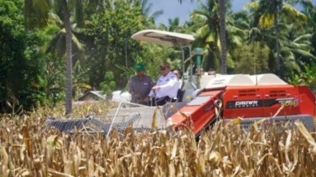 Ketua Pengarah Institut Penyelidikan dan Kemajuan Pertanian (MARDI) Malaysia Dr. Mohamad Kamal Abdul Kadir didampingi Sekdaprov Gorontalo dan Kadis Pertanian Provinsi Gorontalo, saat melakukan panen raya jagung di Desa Botuwombota, Kecamatan Kwandang, Kabupaten Gorontalo Utara, Rabu (15/3/2023). 