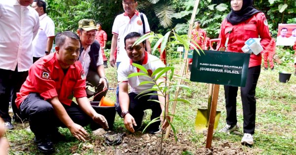 Andi Sudirman Lepas 19 Spesies Kupu-kupu dan Tanam Bibit Pohon Eboni di Bantimurung