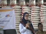 Bupati Luwu Utara Salurkan Bantuan Beras CPP ke 31.503 KK