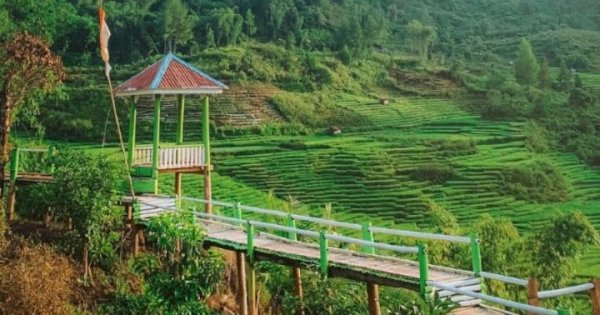 Potensi Desa Rinding Allo di Lutra yang Masuk 75 Besar Anugrah Desa Wisata   