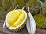 Kontes Durian Bakal Dihadirkan di Masamba Affair Festival 2023