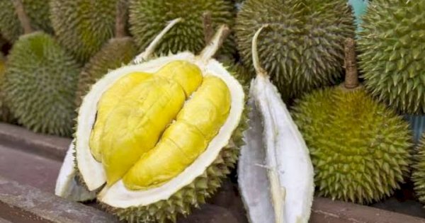 Kontes Durian Bakal Dihadirkan di Masamba Affair Festival 2023