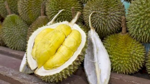 Ilustrasi buah Durian. (Sumber: Google)