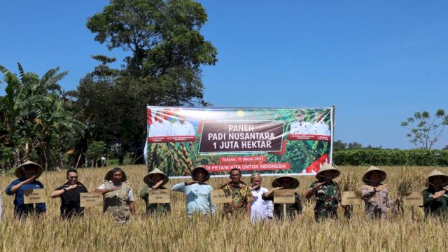 Takalar Jadi Kabupaten Penyangga Beras di Sulsel, Pj Bupati: Galut Panen 4 Kali Setahun