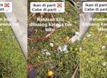 Ratusan Kilogram Cabai Dibuang ke Parit Gegara Tak Laku, Netizen: Sayang Banget