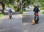 Viral Emak-emak di Bali Tarik Seekor Anjing Pakai Motor, Bikin Netizen Emosi 