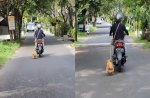 Viral Emak-emak di Bali Tarik Seekor Anjing Pakai Motor, Bikin Netizen Emosi 