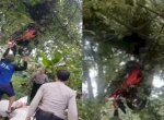 Viral Motor Wisatawan Terpental dan Nyangkut di Pohon Setinggi 3 Meter