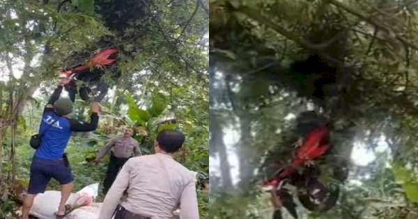 Viral Motor Wisatawan Terpental dan Nyangkut di Pohon Setinggi 3 Meter